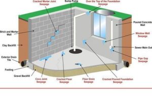 chong thấm vệ sinh