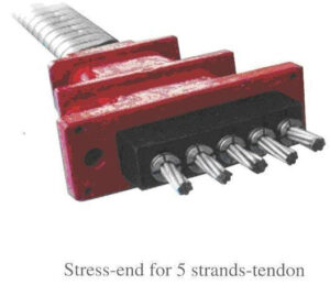 Neo cong tac det dự ứng lực